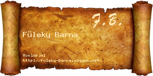 Füleky Barna névjegykártya